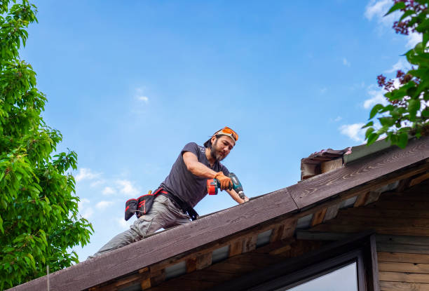 Best Roof Ventilation Installation  in Centerville, MN
